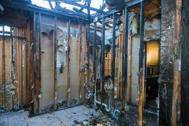 Professional Fire Damage Removal technician working in Gibsonton, FL